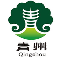 佐丹奴男士灰色POLO衫